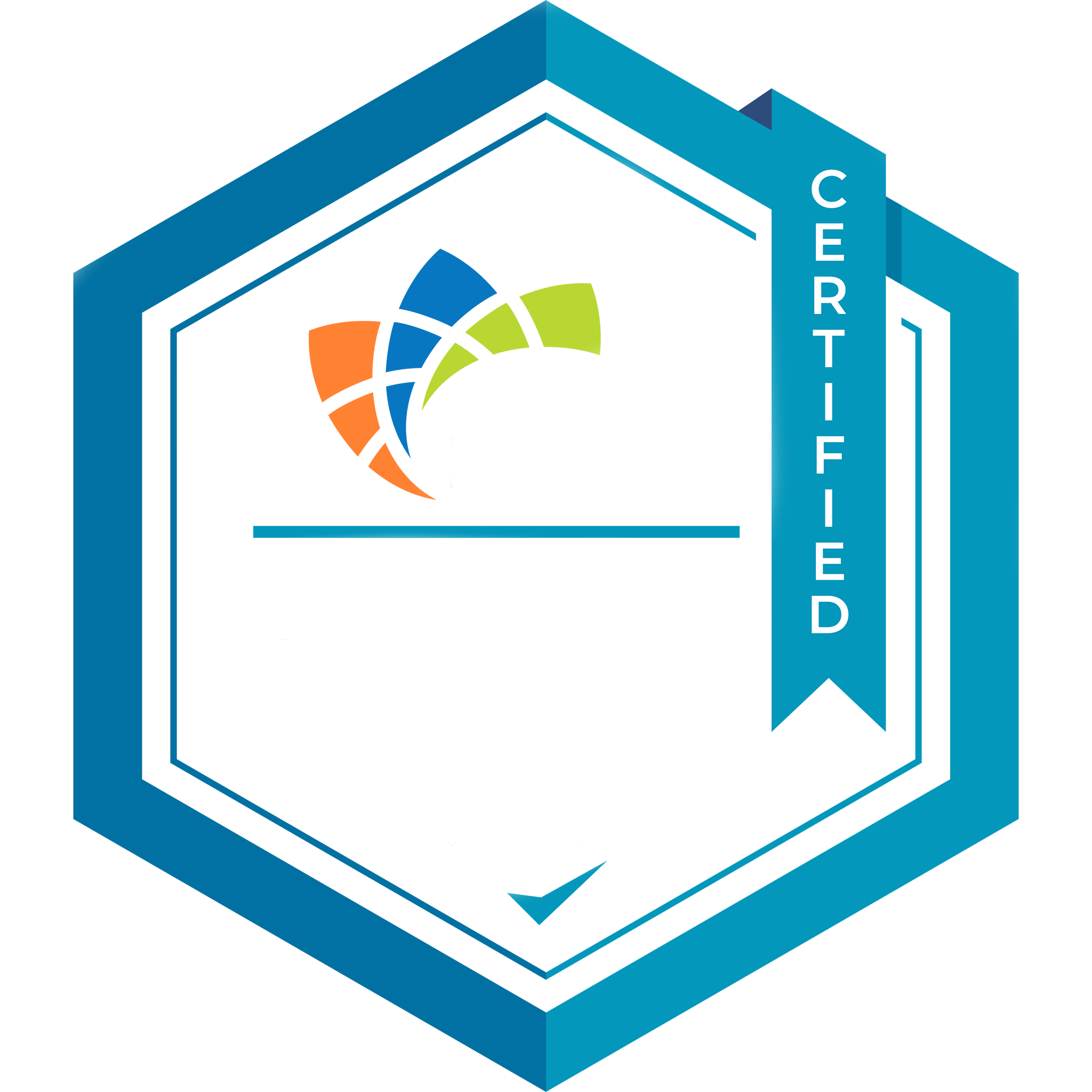 MBE Certification